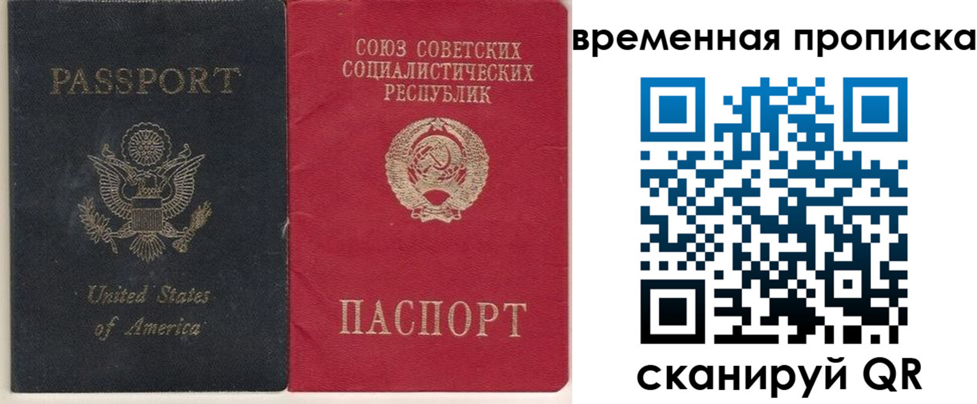 прописка для школы в Заполярном